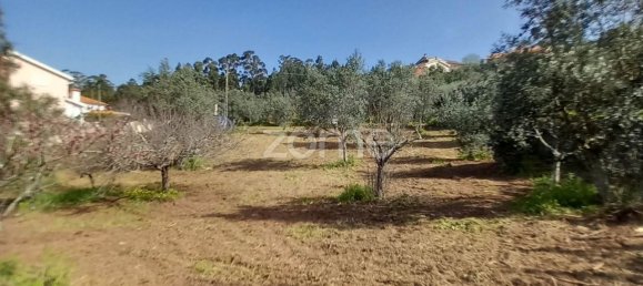 990m² Land in Luso, Portugal No. 26790 2