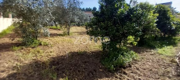 990m² Land in Luso, Portugal No. 26790 11