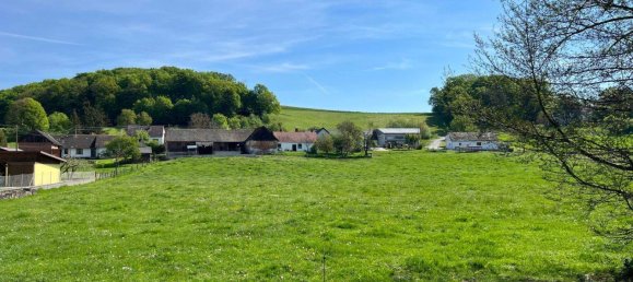 3غرفة منزل في Inzenhof, Austria رقم 245177 21