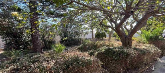 6 غرف نوم فيلا في Pachino, Italy رقم 315538 17