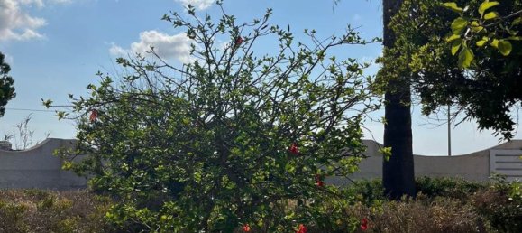 6 غرف نوم فيلا في Pachino, Italy رقم 315538 16