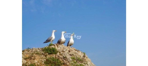 10000m² Land in Lagos, Portugal No. 55348 13