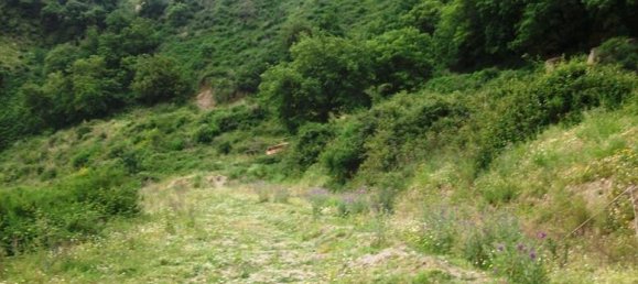 2-salle Maison à Messina, Italy No. 172080 4