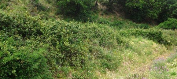 2-salle Maison à Messina, Italy No. 172080 12