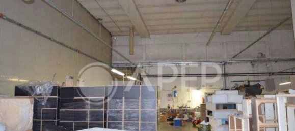 Edifício em San Giorgio delle Pertiche, Italy 2534 m² N.º 322343 12