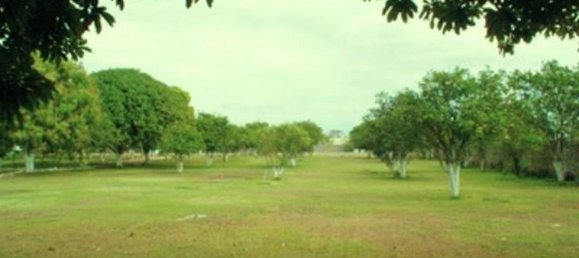 Grundstück in Merida, Mexico, Nr. 126567 2