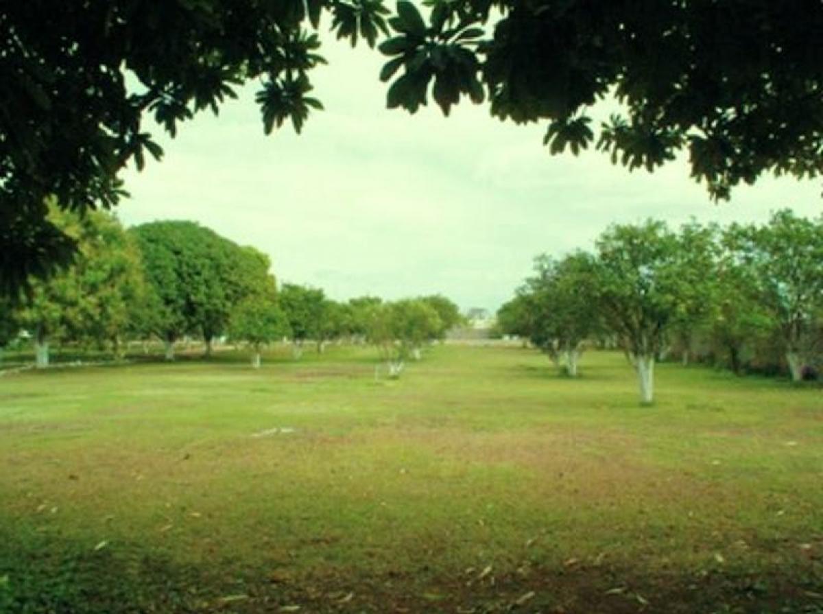 Grundstück in Merida, Mexico, Nr. 126567