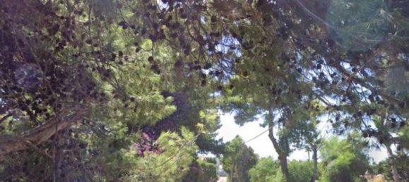 Apartamento de 3 habitaciónes en Campofelice di Roccella, Italy No. 50992 2