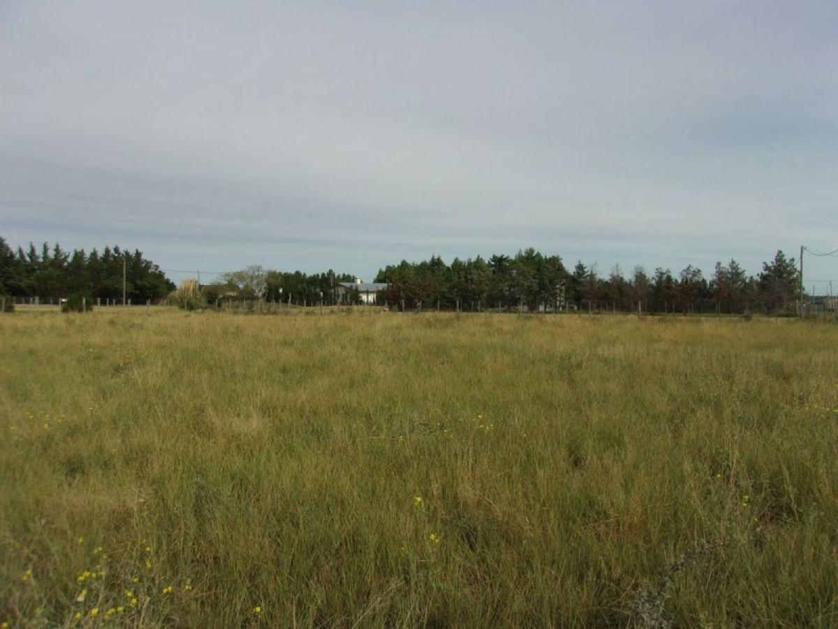 Grundstück in Buenos Aires, Argentina, Nr. 119406