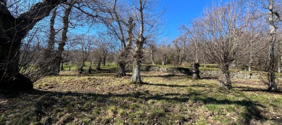 10 غرف نوم فيلا في Roccamonfina, Italy رقم 314044 9