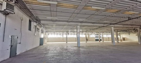 Lagerhaus in Mondolfo, Italy 4010m², Nr. 175301 9