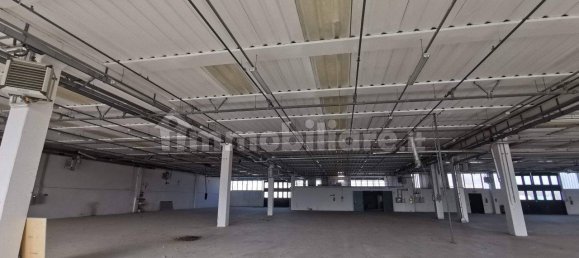 Lagerhaus in Mondolfo, Italy 4010m², Nr. 175301 11