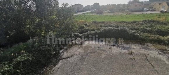 Lagerhaus in Mondolfo, Italy 4010m², Nr. 175301 32