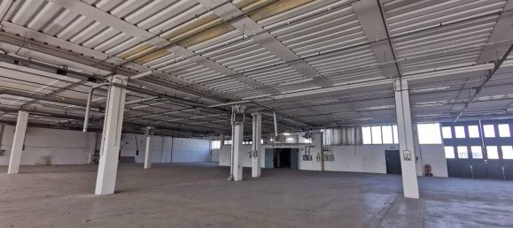 Lagerhaus in Mondolfo, Italy 4010m², Nr. 175301 10