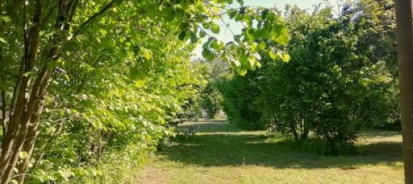 3 غرف نوم فيلا في Cavour, Italy رقم 183529 30