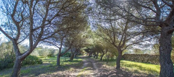 Finca de 5 dormitorios en Ciutadella De Menorca, Spain No. 1345 16