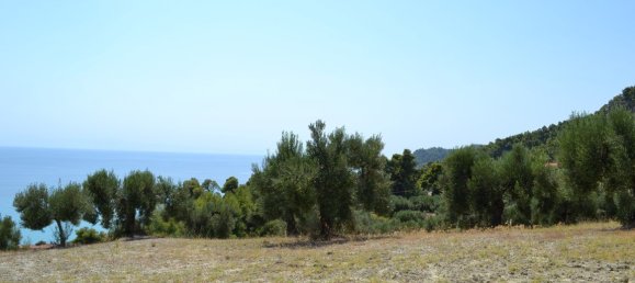 12300m² Hotel in Chalkidiki, Greece No. 6087 6