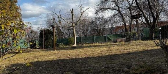 5 rooms House in Wiesen, Austria No. 245184 16