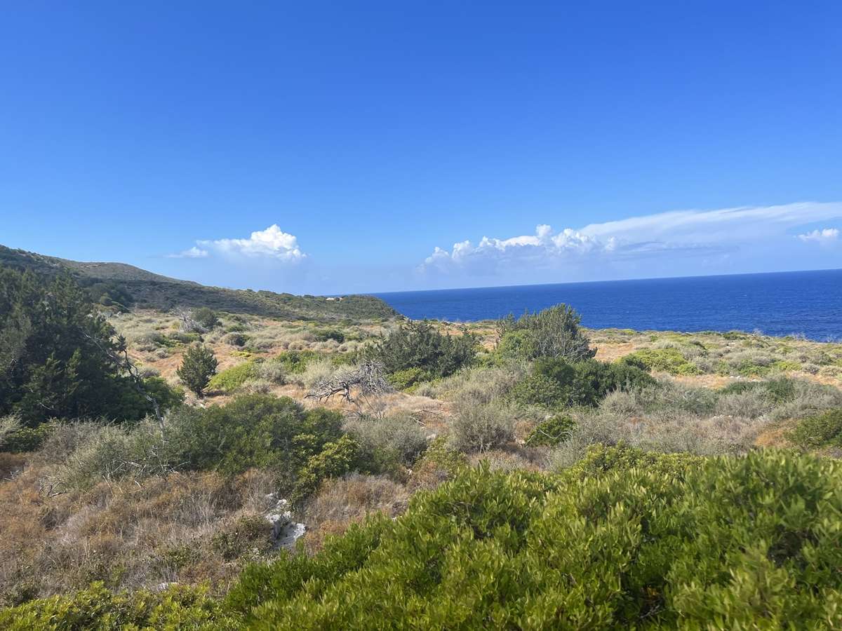 Hôtel à Zakynthos, Greece No. 8600