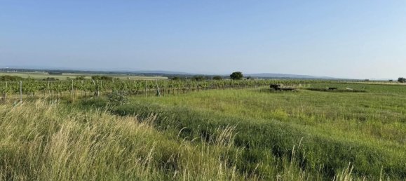 Земельный участок в Фельс ам Ваграм, Австрия № 131921 3