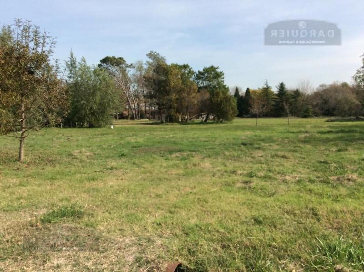  Land in Presidente Peron, Argentina No. 47787