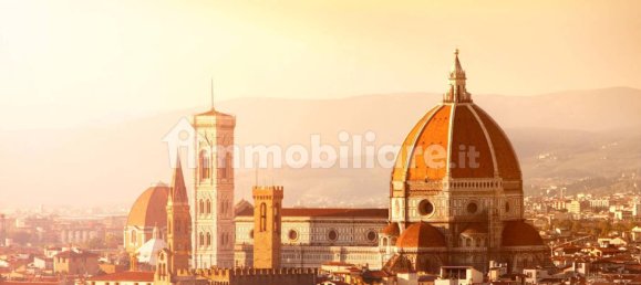 5غرفة عقار تجاري في Florence, Italy رقم 174510 11