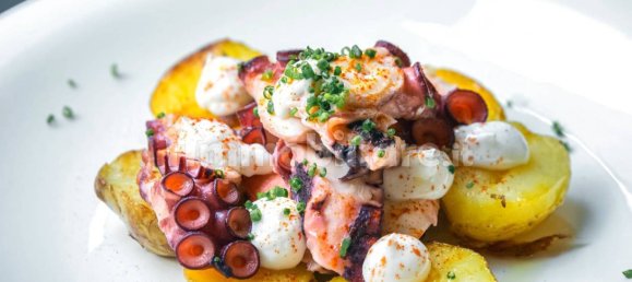 5غرفة عقار تجاري في Florence, Italy رقم 174510 5