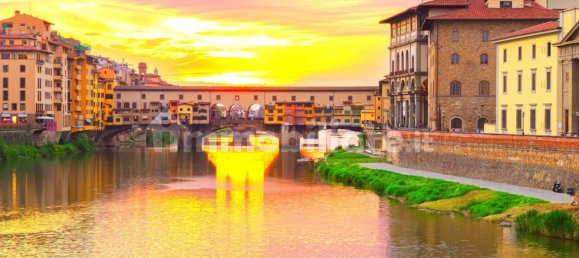 5غرفة عقار تجاري في Florence, Italy رقم 174510 12