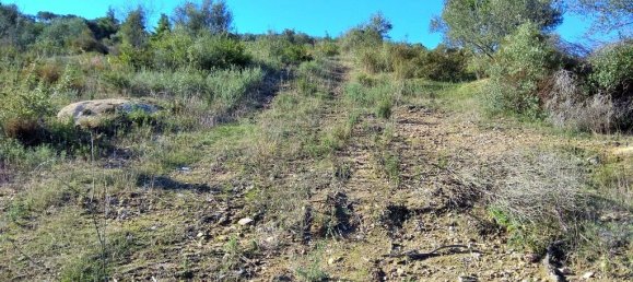 36000m² Hotel in Chalkidiki, Greece No. 5960 7