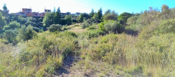 36000m² Hotel in Chalkidiki, Greece No. 5960 5