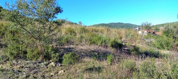 36000m² Hotel in Chalkidiki, Greece No. 5960 6