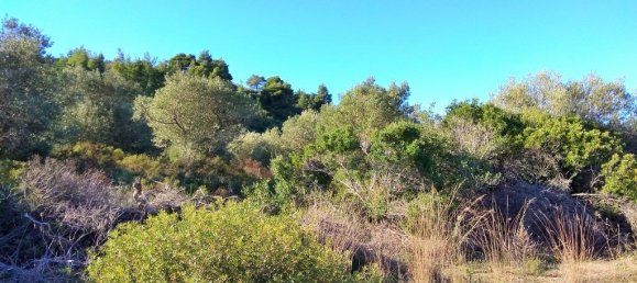 36000m² Hotel in Chalkidiki, Greece No. 5960 3