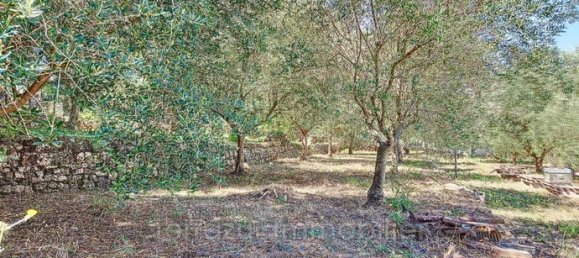 650m² Land in Vallauris, France No. 291090 3