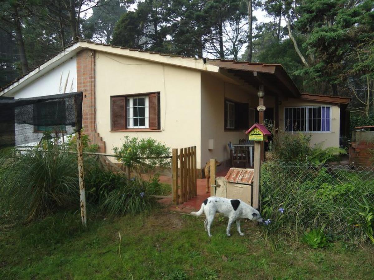 6 bedrooms House in Mar del Plata, Argentina No. 90599