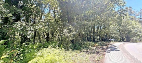 Terrain à A Estrada, Spain 25666m² No. 58587 9