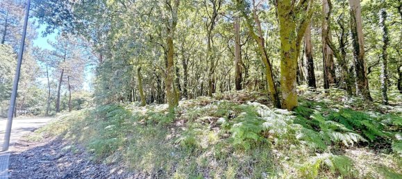 Terrain à A Estrada, Spain 25666m² No. 58587 16