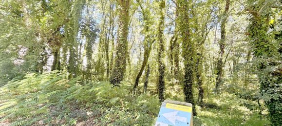 Terrain à A Estrada, Spain 25666m² No. 58587 3