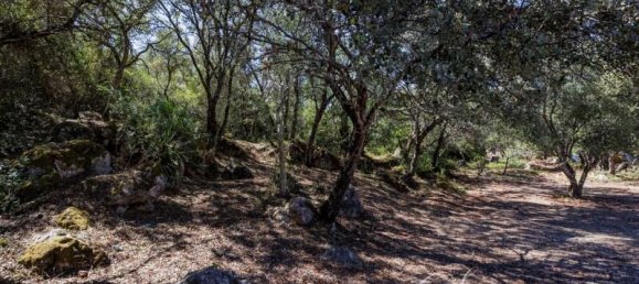 3 Schlafzimmer Haus in Faro, Portugal, Nr. 354949 27