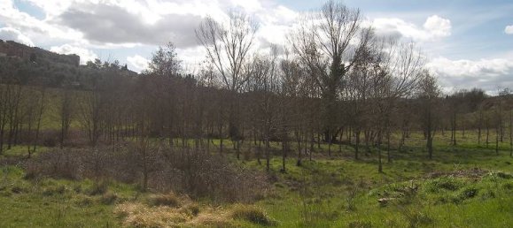 5غرفة منزل في Torrita di Siena, Italy رقم 59279 6