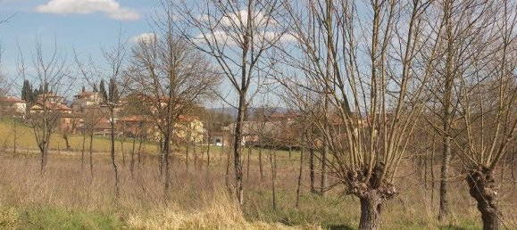 5غرفة منزل في Torrita di Siena, Italy رقم 59279 14