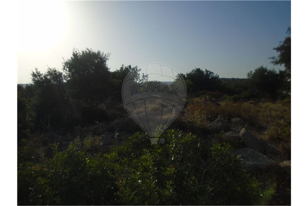 Земельный участок 1650м² в Лоле, Португалия № 49737