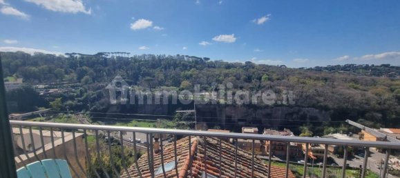 2 chambres Appartement à Marino, Italy No. 24282 16