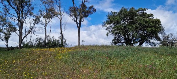 2 bedrooms House in Santa Catarina da Fonte do Bispo, Portugal No. 62370 28