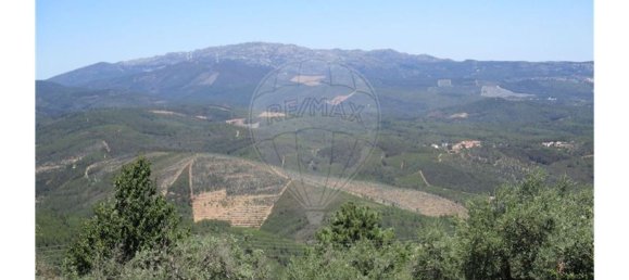 3 غرف نوم منزل في Almaceda, Portugal رقم 163323 36