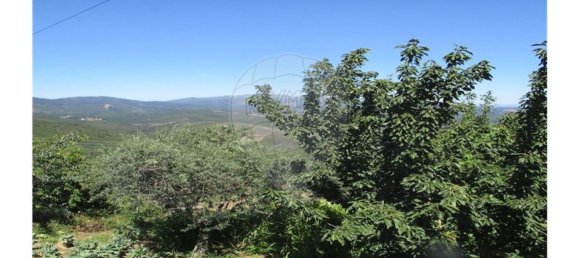 3 غرف نوم منزل في Almaceda, Portugal رقم 163323 48