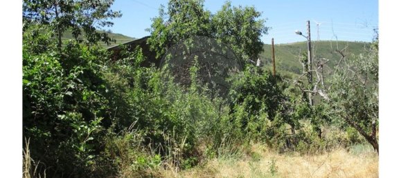 3 غرف نوم منزل في Almaceda, Portugal رقم 163323 40