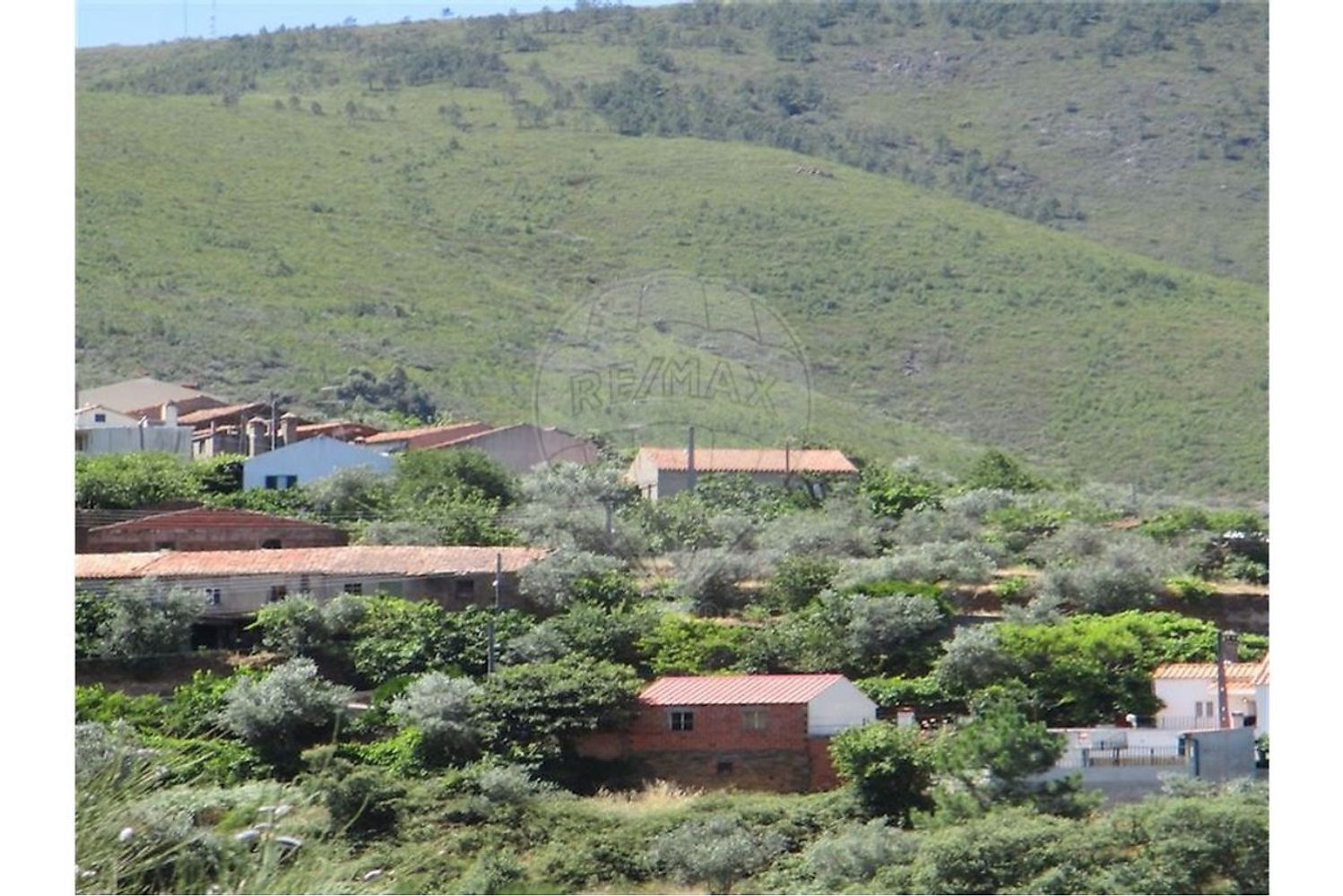 3 غرف نوم منزل في Almaceda, Portugal رقم 163323