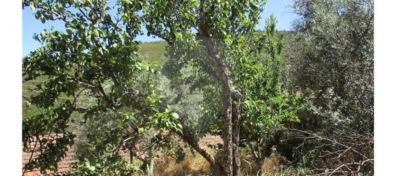 3 غرف نوم منزل في Almaceda, Portugal رقم 163323 44