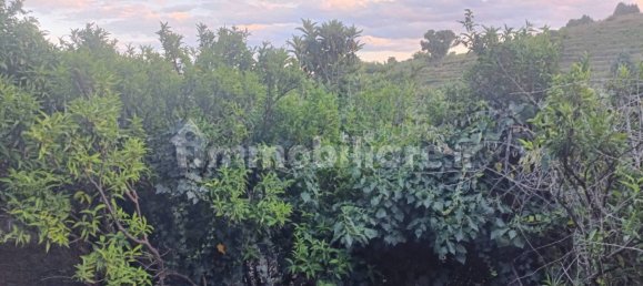 Земельный участок 7000м² в Пьедимонте Этнео, Италия № 298162 14