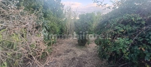 Земельный участок 7000м² в Пьедимонте Этнео, Италия № 298162 17